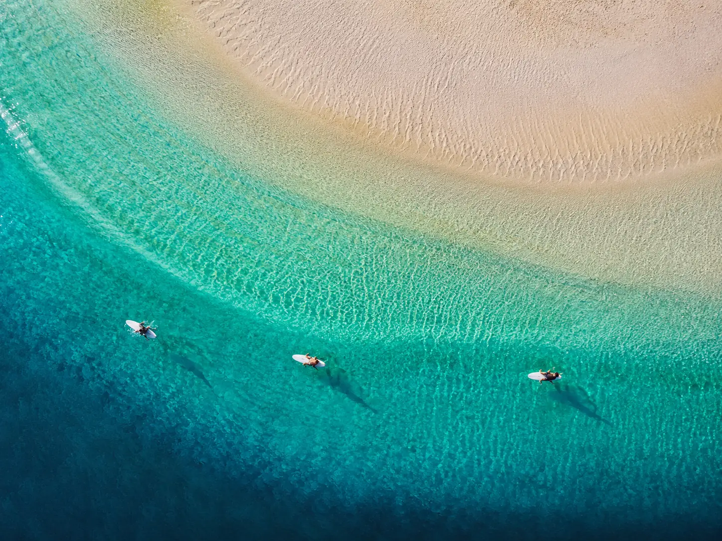 Top-down bird's-eye drone shot of three surfers on a turquoise sandbar, long shadows on the shallow water