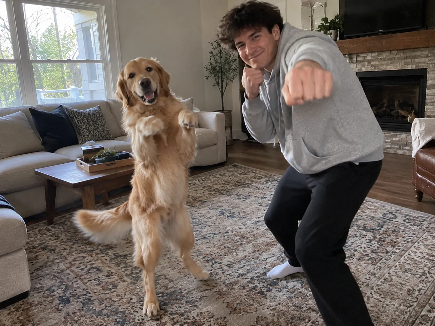 A young man and his golden retriever dancing in a living room, the dog standing on its hind legs with its paws up like a boxer, a Mi Chico AI pet dance